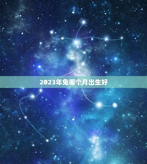 2023兔年出生